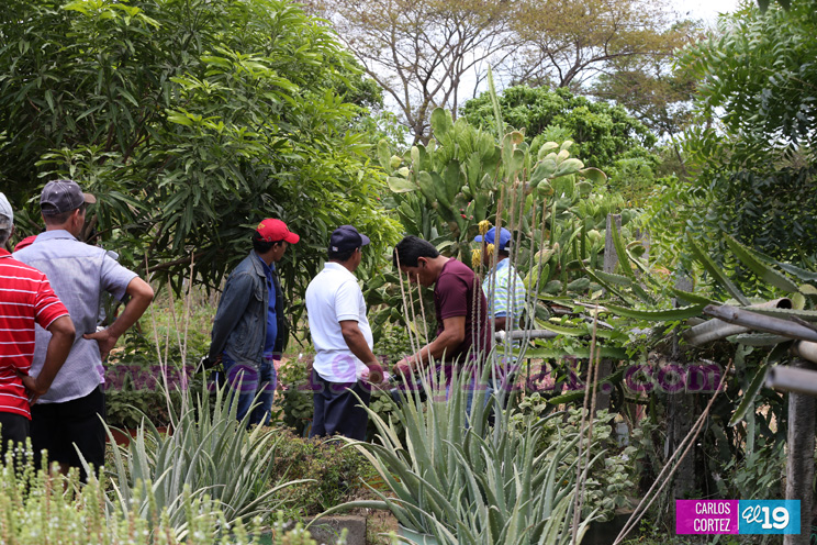 Productores aprende a diversificar sus cultivos para enfrentar efectos del cambio clim&aacute;tico